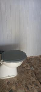 a white toilet with a green seat in a room at HOSTEL MAIANDEUA in Algodoal
