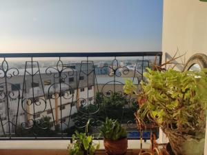 a balcony with plants and a view of a city at not applicable! in Kaikalapettai