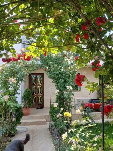 a dog walking in front of a house with flowers at Vila Eduard in Mamaia Sat/Năvodari