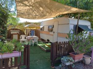 Κήπος έξω από το LA VOLPE DI AGROPOLI