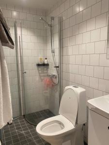 a bathroom with a toilet and a shower stall at Liseberg-Near Apt City Centre WOW Fest in Gothenburg