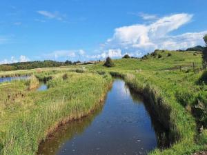 a small river in a field with grass at Tranquil Retreat in Hejlsminde-By Traum in Hejls
