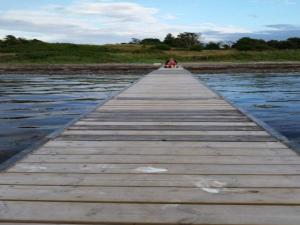 a wooden bridge over a body of water at Tranquil Retreat in Hejlsminde-By Traum in Hejls