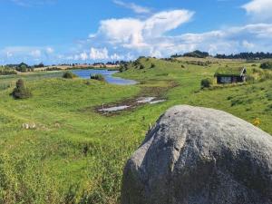 a large rock in a grassy field with a river at Tranquil Retreat in Hejlsminde-By Traum in Hejls