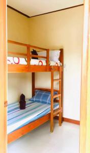 Dos literas con un gato sentado en la litera de abajo. en Jenises Inn, en El Nido