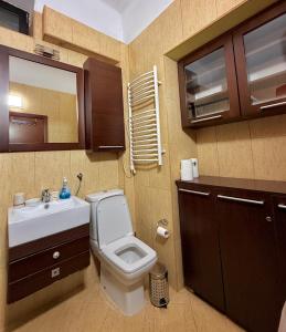 a bathroom with a toilet and a sink at Bokeska apartment in Podgorica