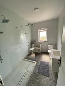 a bathroom with a shower and a toilet and a sink at Holiday Home Oliva in Novalja