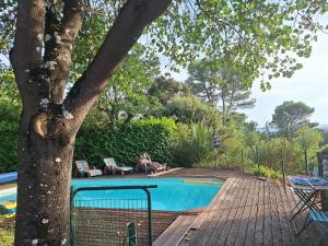 ein Swimmingpool mit einem Baum neben einem Deck in der Unterkunft Chalet, calme, absolu, superbe vue, et piscine (en été) in Ventenac-Cabardès + 18 Fotos