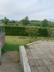 a view of a garden with a hedge at Gäst hus in Ystad