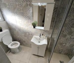 a bathroom with a toilet and a sink and a shower at Apartmani Etno Selo Americ  +21 photos