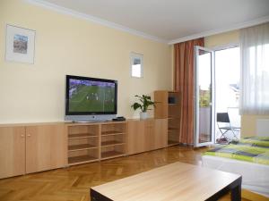 A television and/or entertainment centre at Apartment Buda Budapest