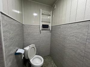 a bathroom with a toilet and a window at Weekend House in Borjomi +19 photos