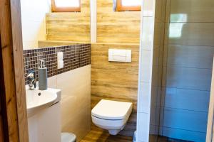a bathroom with a toilet and a sink at Domki Nad Satwem Mazury D2 in Mrągowo