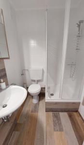 a bathroom with a shower and a toilet and a sink at Ferienwohnung "Seestern" in Burgtiefe auf Fehmarn 