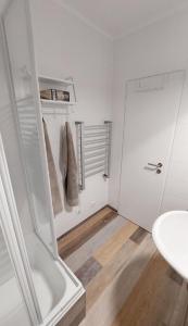 a bathroom with a shower and a white door at Ferienwohnung "Seestern" in Burgtiefe auf Fehmarn 
