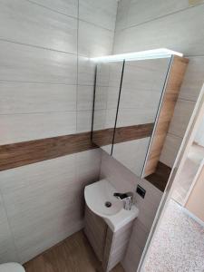 a small bathroom with a sink and a mirror at Hus Kalli in Landkirchen