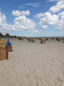 a beach with many chairs and umbrellas on it at Kaleu in Burgtiefe auf Fehmarn 
