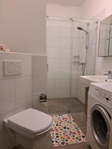a bathroom with a toilet and a sink and a washing machine at Janita in Meeschendorf +13 photos