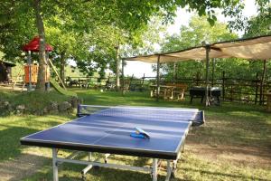 a blue ping pong table in a park at Fattoria Alvaneta in Padula