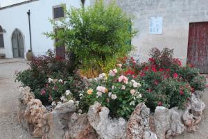Zahrada ubytování Masseria La Duchessa