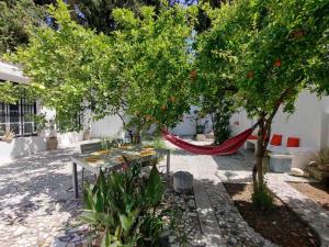 a hammock under an orange tree in a courtyard at La Belle Carthagene in Carthage +3 photos