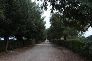 Zahrada ubytování Masseria La Duchessa