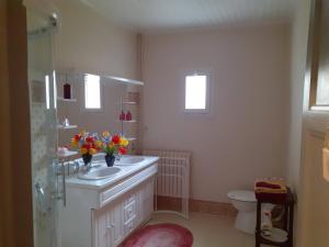 a bathroom with a sink and a toilet with flowers on it at le bois du mas in Saint-Aulaye