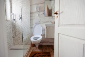 a bathroom with a toilet and a shower at Acasa La Lumei in Sighetu Marmaţiei +27 photos