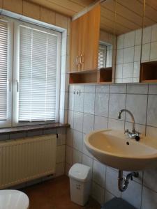 a bathroom with a sink and a toilet at Ostwind-ideal für Familien- in Ostermarkelsdorf