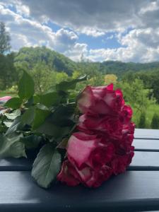 a red rose sitting on a table next to a window at Yaremchuk lodge in Tyudov