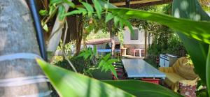 Κήπος έξω από το Casa Rural Parajes del Chanza