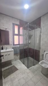 ein Badezimmer mit Dusche, Toilette und Waschbecken in der Unterkunft Villa Araucaria, idéale pour vos vacances en famille in Riaïna