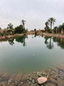 ein Wasserkörper mit Palmen im Hintergrund in der Unterkunft Villa Araucaria, idéale pour vos vacances en famille in Riaïna