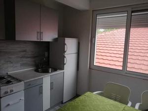 a kitchen with a refrigerator and a table and a window at Vila Bula 1 in Donji Štoj
