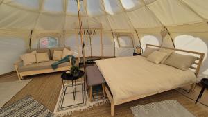 Galeriebild der Unterkunft My Little Swan Camping & Camper Stop, Ludbreg in Ludbreg