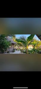 un'immagine di una palma davanti a una casa di Paje lounge a Paje