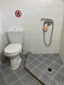 a bathroom with a toilet and a shower at Sunshine 1 in Leonidio +24 photos