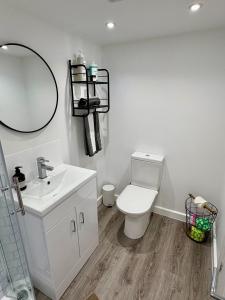 a bathroom with a toilet and a sink and a mirror at Katrins Nest in Southbourne +20 photos