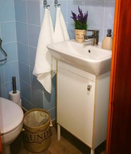 a bathroom with a sink and a toilet with towels at Apartamento Ideal familias en Bellver in Bellver de Cerdanya +16 photos