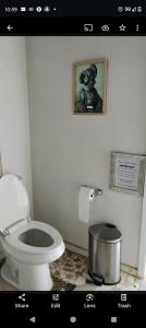 a bathroom with a toilet and a picture on the wall at The Dome at Tribal Camp in Joshua Tree