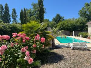 a garden with pink flowers and a swimming pool at Le Relais St trop - Villa 2 chambres Delon et Romy in Bressolles