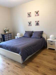 een slaapkamer met een bed met blauwe lakens en 2 tafels bij Le Colbert in Nevers