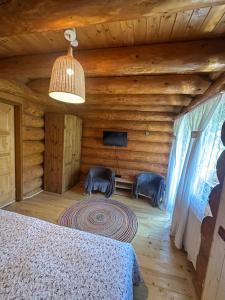 a bedroom in a log cabin with a bed and a tv at Pensiunea Streiu in Lepşa