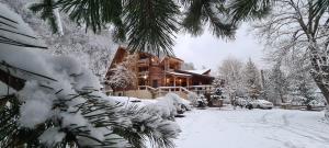 a house covered in snow in front at Pensiunea Streiu in Lepşa