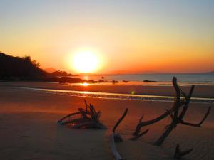 a sunset on a beach with a branch in the sand at Mir Homestay in Lieyu