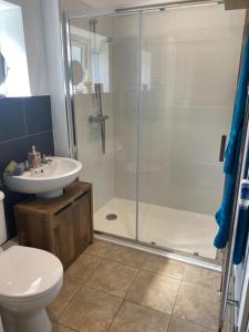 a bathroom with a shower and a toilet and a sink at Annexe Orchard Cottage in Mersham +16 photos