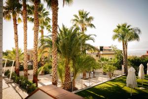 una vista de un patio con palmeras en Villa Nicadè, en Corbara