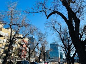 Gallery image of Mordern 2BedRoom Downtown Apt with Free Parking & Wifi in Edmonton +19 photos