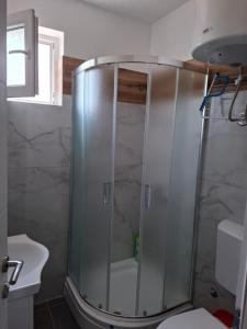 a shower with a glass door in a bathroom at Srebrno Jezero studio apartman Dimi in Veliko Gradište