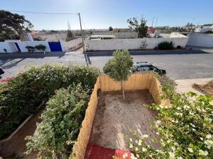 a garden with a tree and flowers in a parking lot at Maison avec jardin 3 Chambres a 5min de Essaouira in Ghazoua